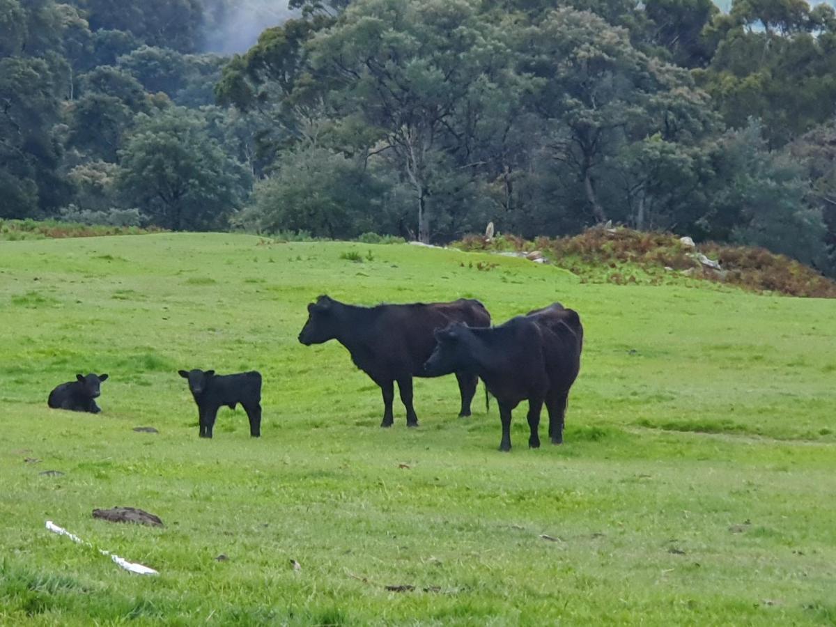 Ruby'S Cottage Farm Stay พอร์ตอาร์เธอร์ ภายนอก รูปภาพ