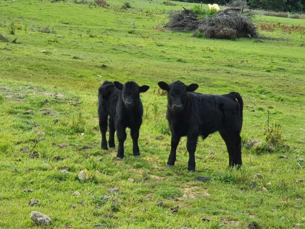 Ruby'S Cottage Farm Stay พอร์ตอาร์เธอร์ ภายนอก รูปภาพ