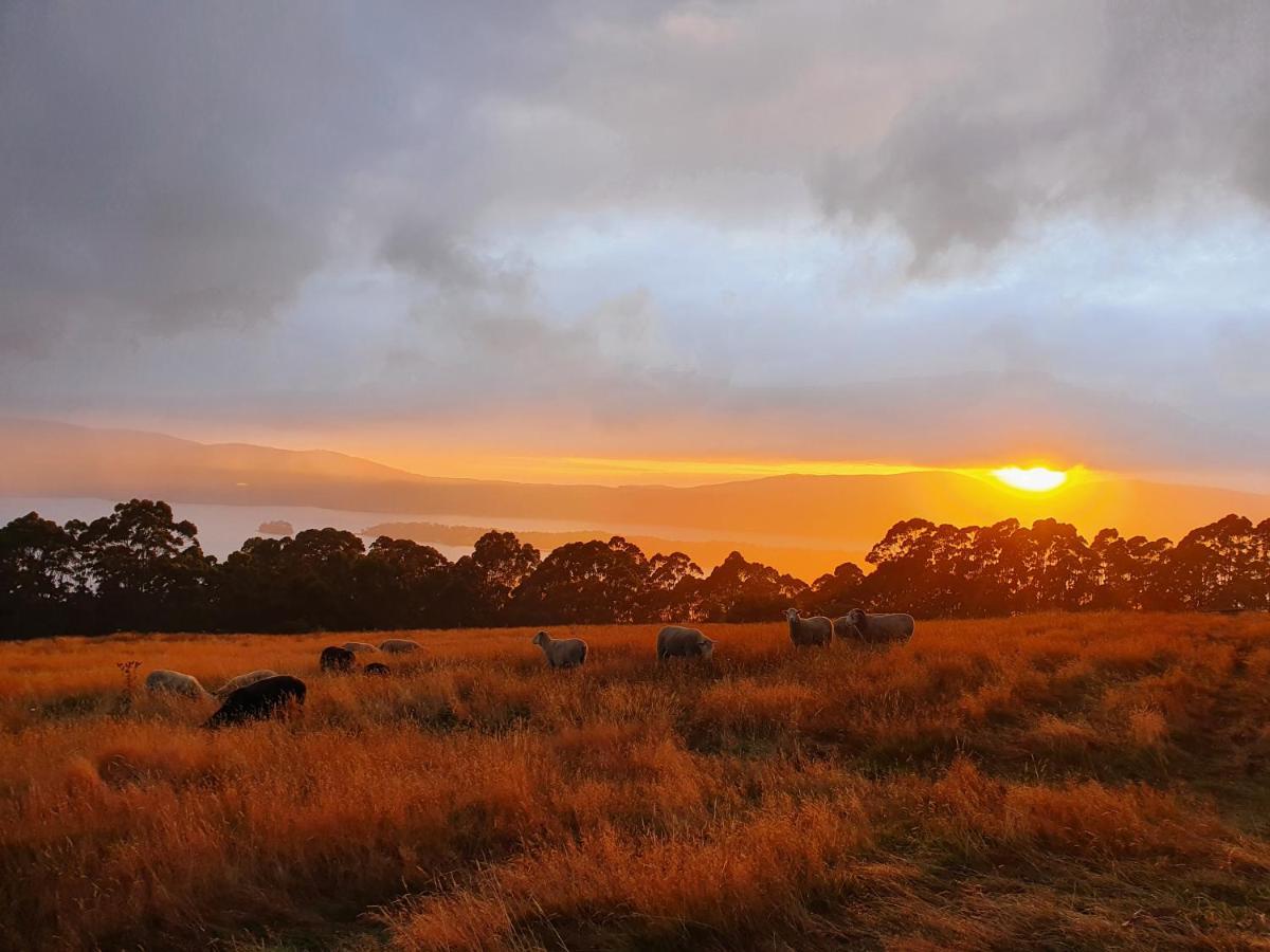 Ruby'S Cottage Farm Stay พอร์ตอาร์เธอร์ ภายนอก รูปภาพ