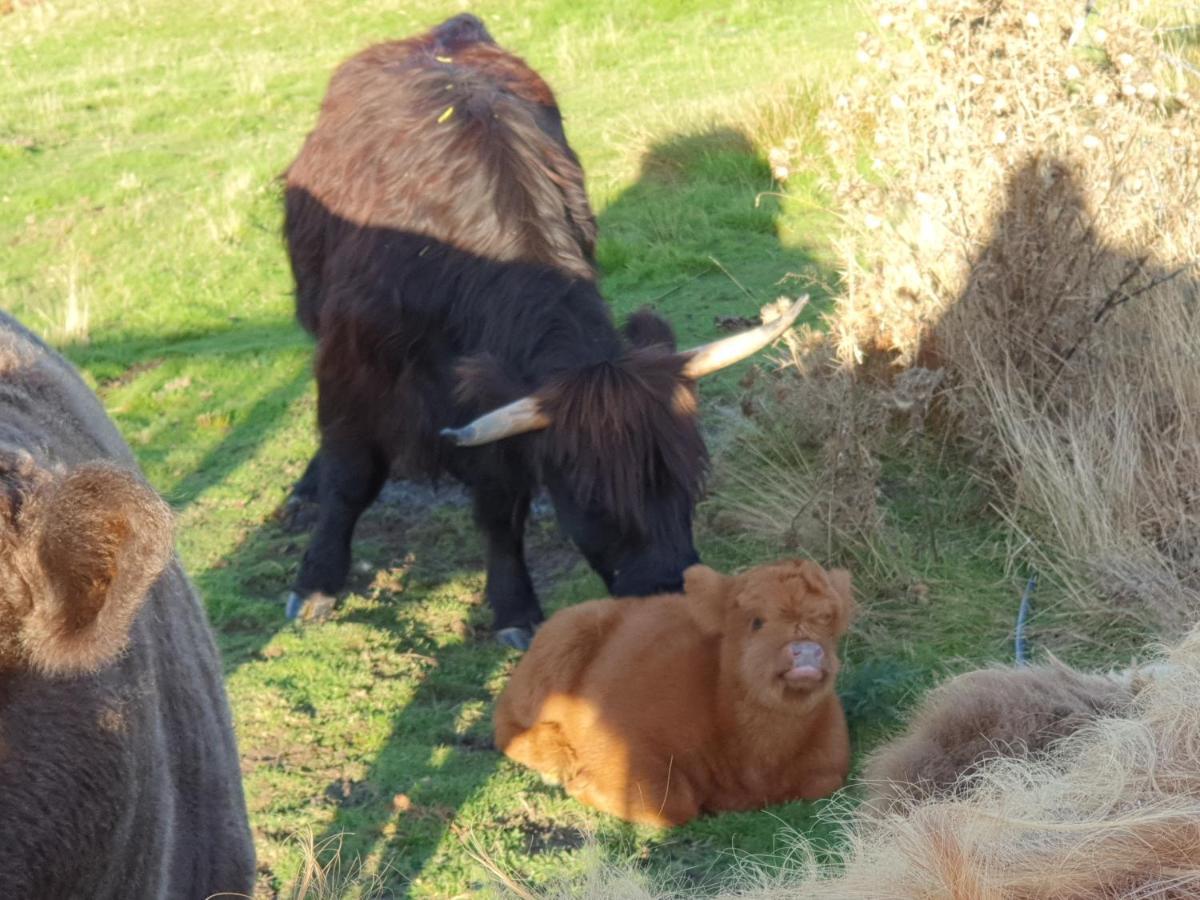 Ruby'S Cottage Farm Stay พอร์ตอาร์เธอร์ ภายนอก รูปภาพ