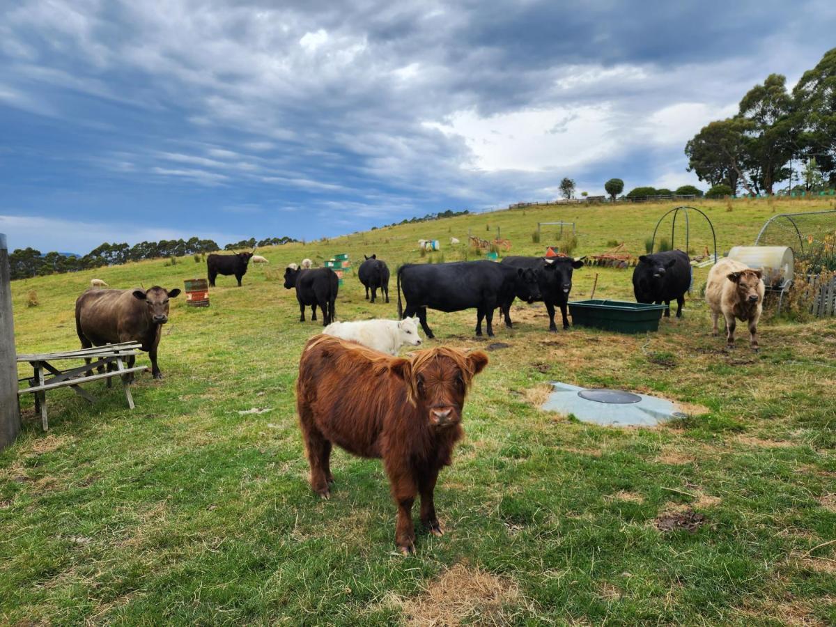 Ruby'S Cottage Farm Stay พอร์ตอาร์เธอร์ ภายนอก รูปภาพ