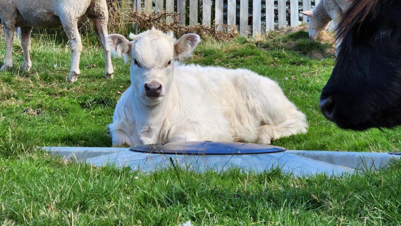 Ruby'S Cottage Farm Stay พอร์ตอาร์เธอร์ ภายนอก รูปภาพ