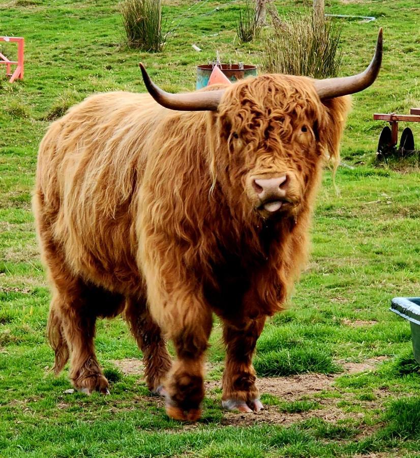 Ruby'S Cottage Farm Stay พอร์ตอาร์เธอร์ ภายนอก รูปภาพ