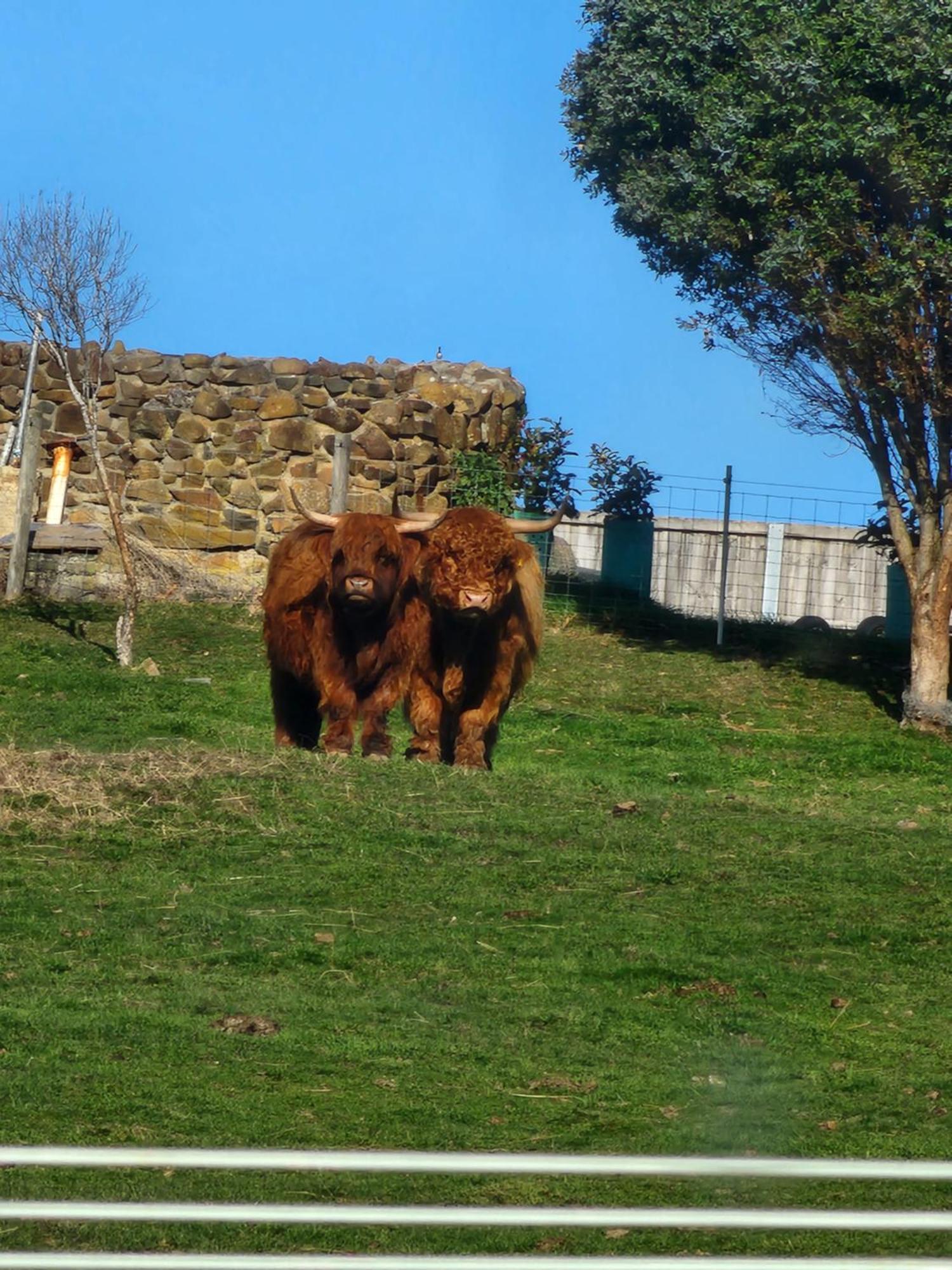 Ruby'S Cottage Farm Stay พอร์ตอาร์เธอร์ ภายนอก รูปภาพ